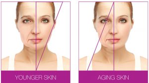 graphic showing the difference of young and old skin