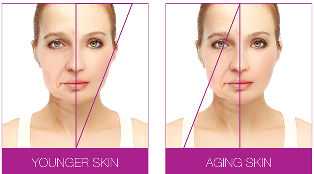 graphic showing the difference of young and old skin